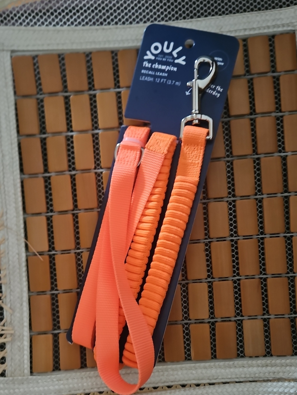 YOULY Bungee Recall Orange Stretchy Training Dog Leash, 12' ft